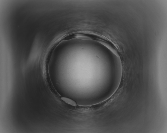 X0000101090245200806261457