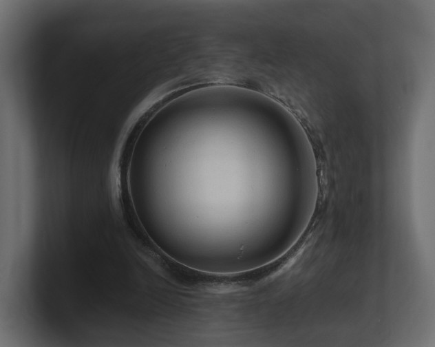 X0000101090246200806261457