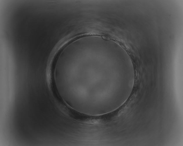 X0000101090247200806261457