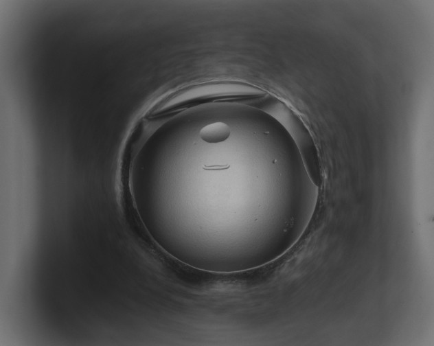 X0000101090248200806261457