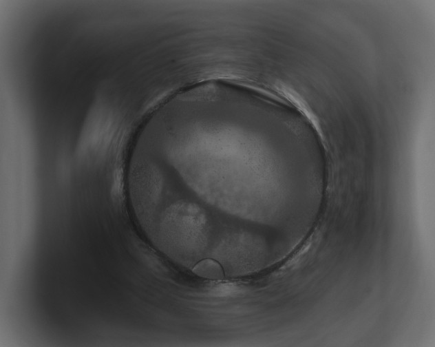 X0000101090249200806261457