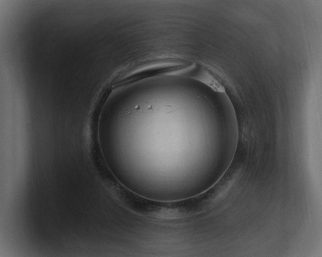 X0000101090256200806261457