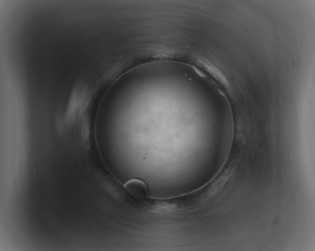 X0000101090257200806261457