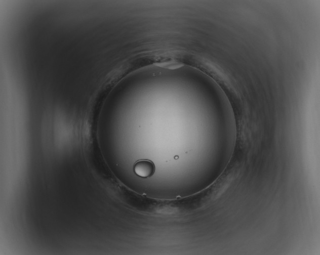 X0000101090258200806261457