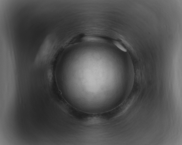 X0000101090259200806261457