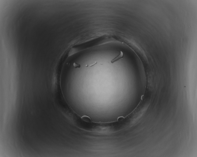 X0000101090260200806261457