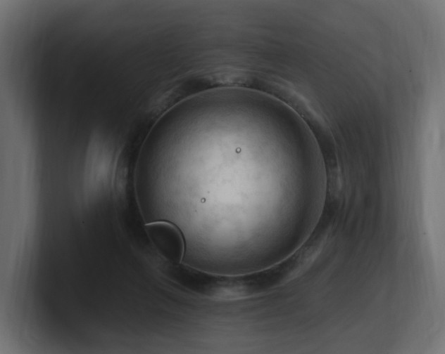 X0000101090263200806261457