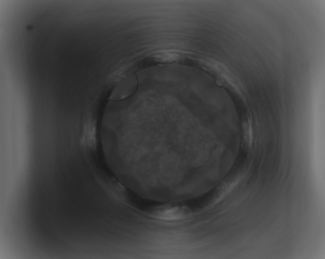 X0000101090267200806261457