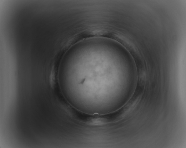 X0000101090268200806261457