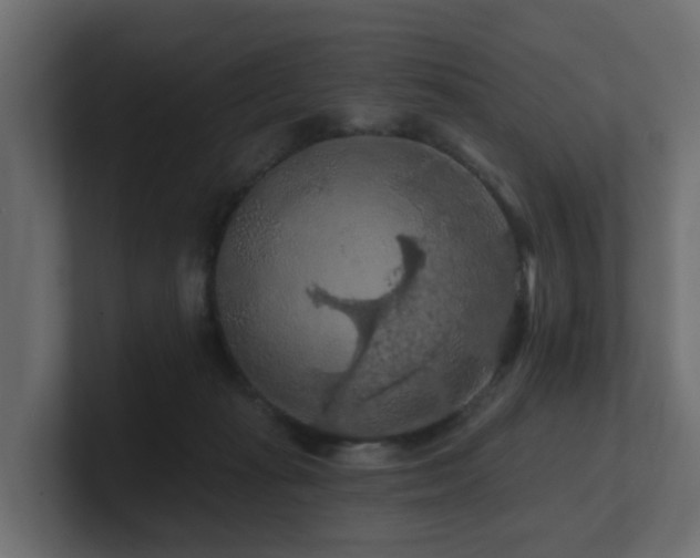 X0000101090269200806261457