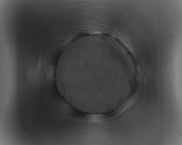 X0000101090273200806261457