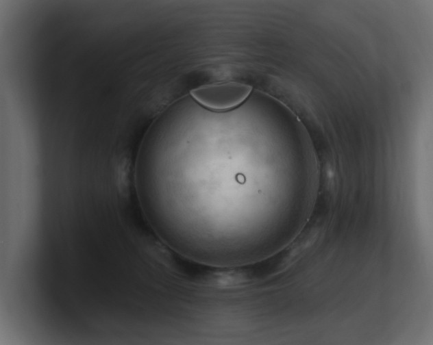 X0000101090275200806261457