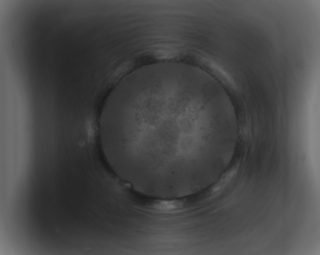 X0000101090277200806261458