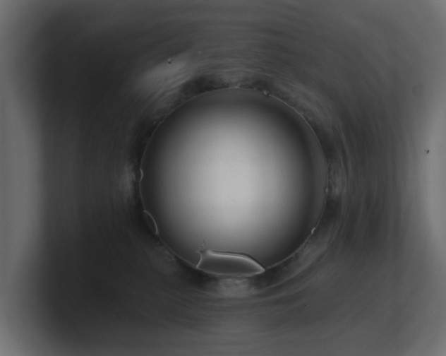 X0000101090279200806261458