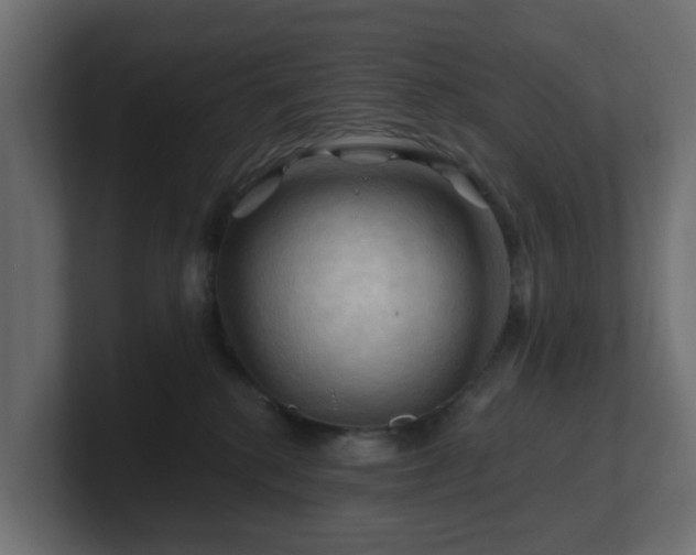 X0000101090280200806261458