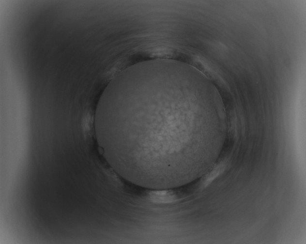 X0000101090281200806261458