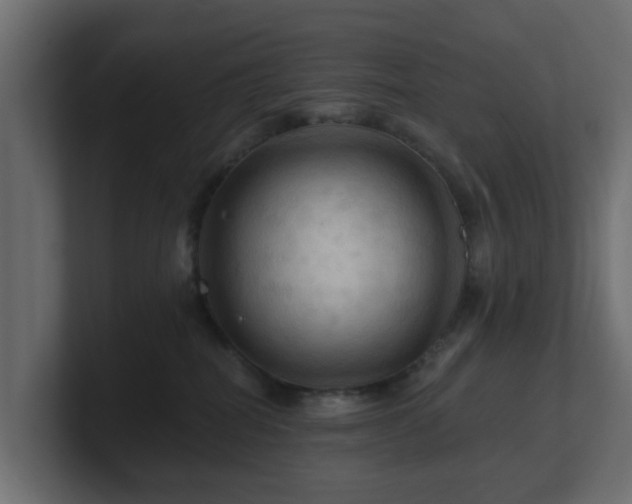 X0000101090282200806261458