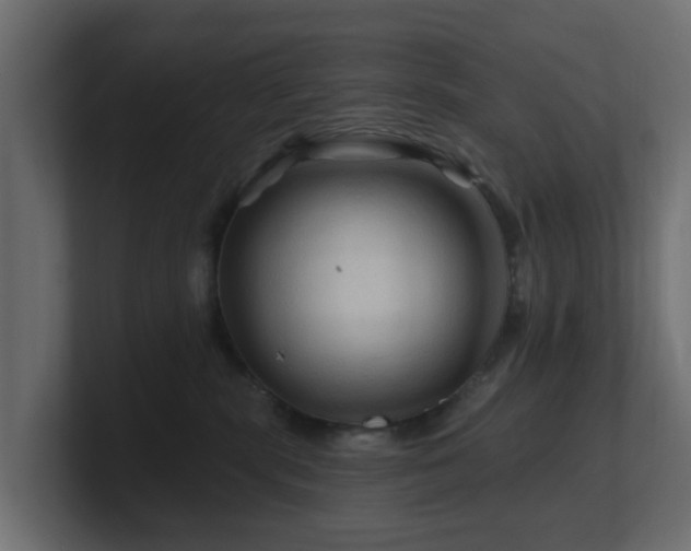 X0000101090283200806261458