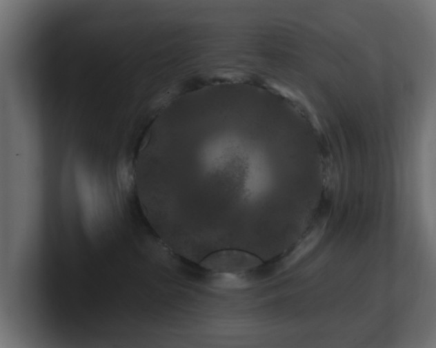 X0000101090285200806261458