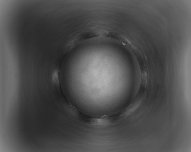 X0000101090286200806261458