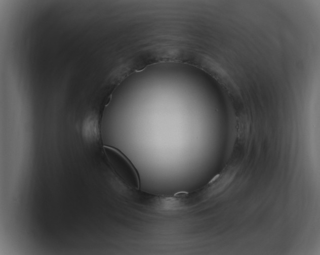 X0000101090287200806261458