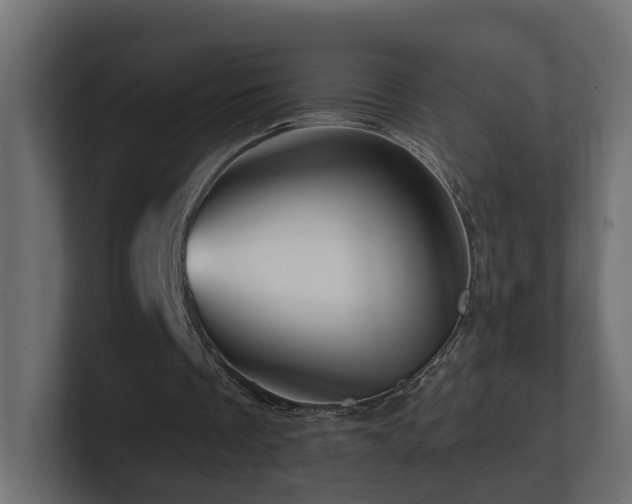 X0000101090289200806261457