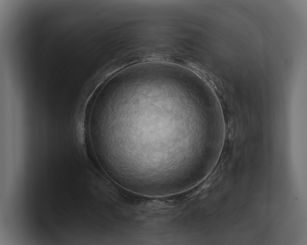 X0000101090290200806261457