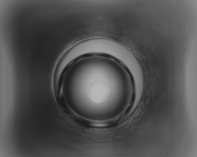 X0000101090292200806261457