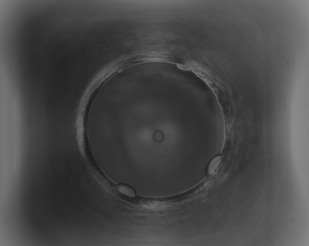 X0000101090293200806261457