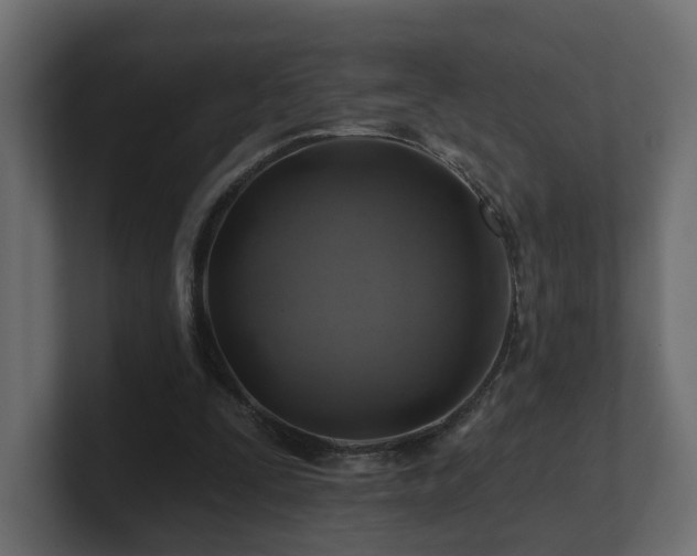 X0000101090295200806261457