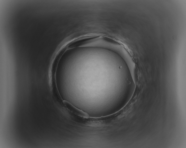 X0000101090296200806261457