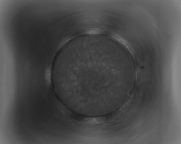 X0000101090297200806261457