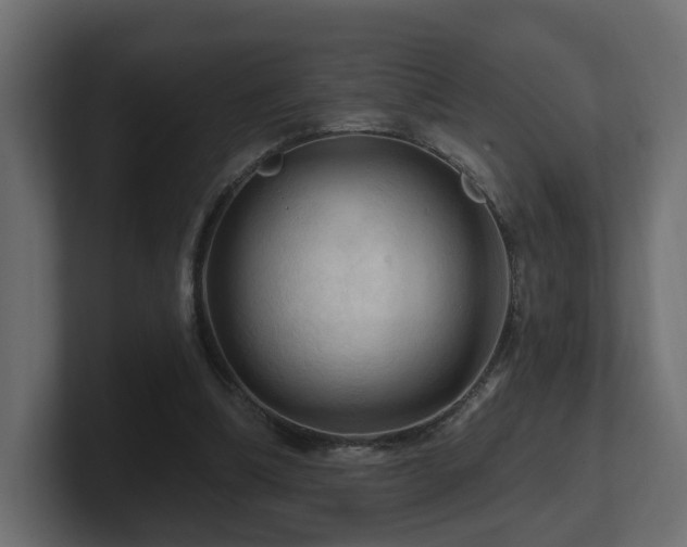 X0000101090298200806261457