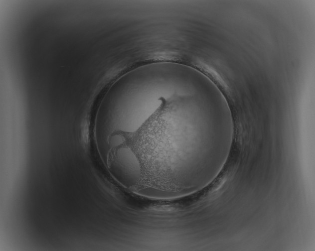 X0000101090299200806261457