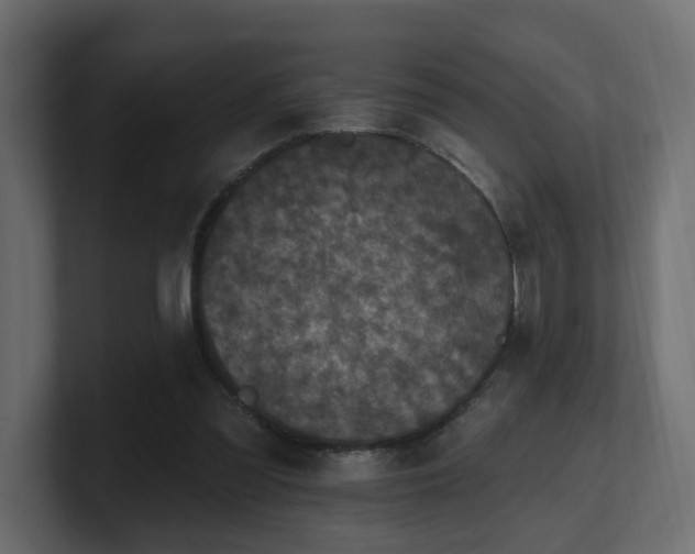 X0000101090301200806261457