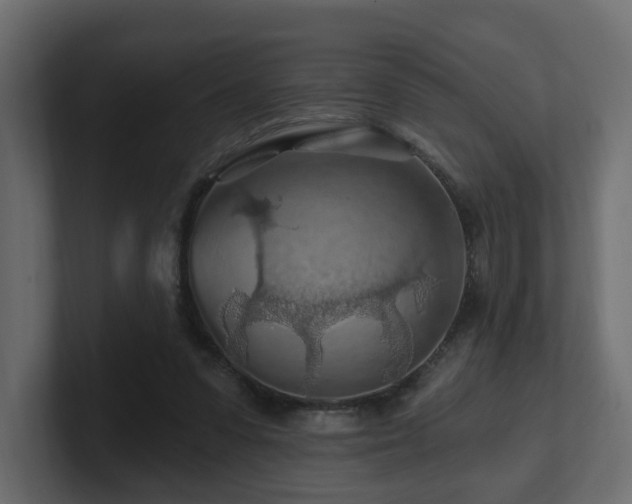 X0000101090303200806261457