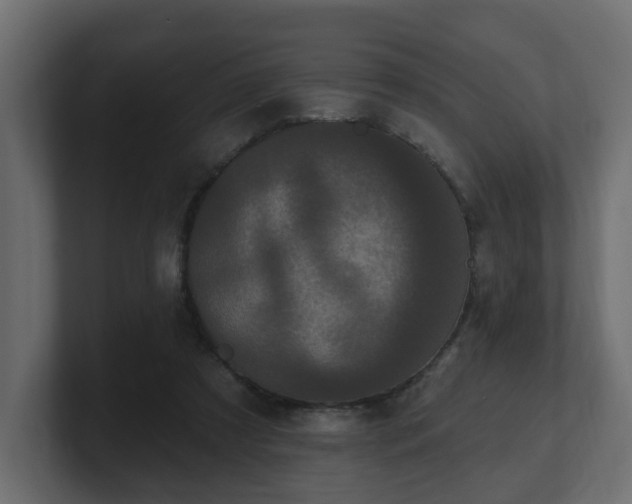 X0000101090305200806261457