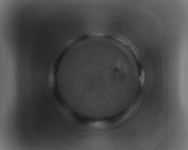 X0000101090312200806261457