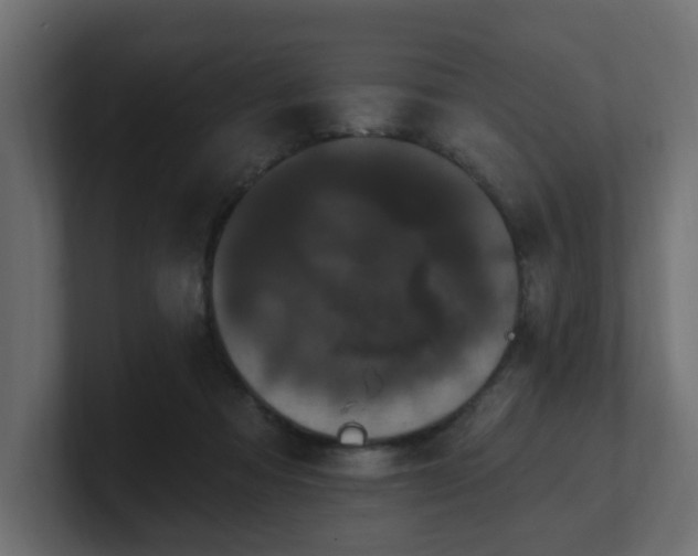 X0000101090313200806261457