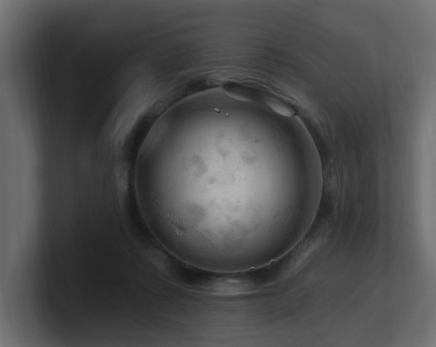 X0000101090315200806261457