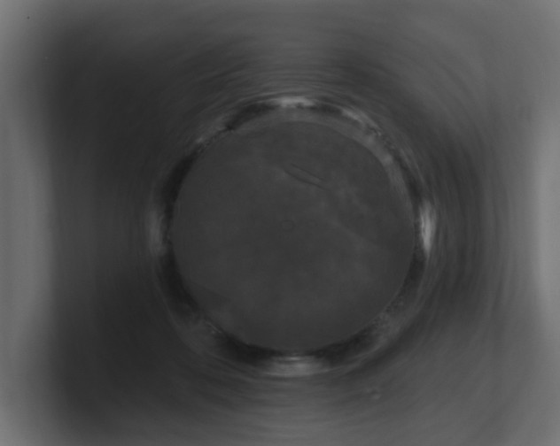 X0000101090316200806261457