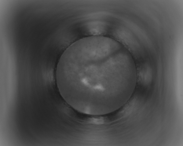 X0000101090317200806261457