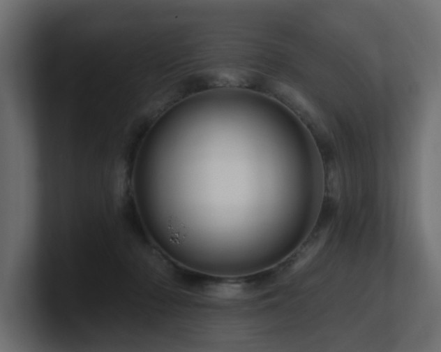 X0000101090318200806261457