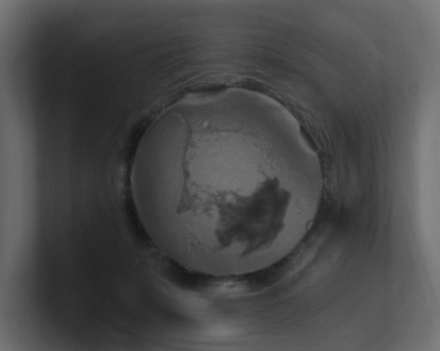 X0000101090319200806261457