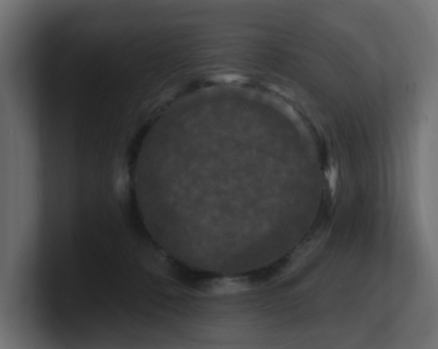 X0000101090320200806261457