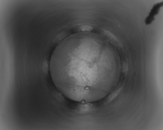 X0000101090321200806261457