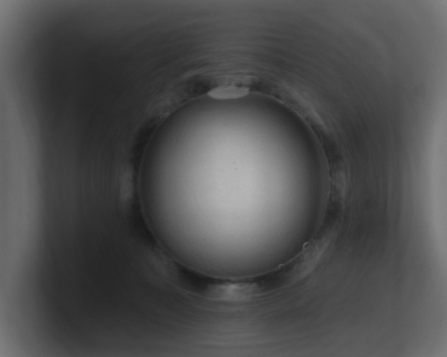 X0000101090323200806261457