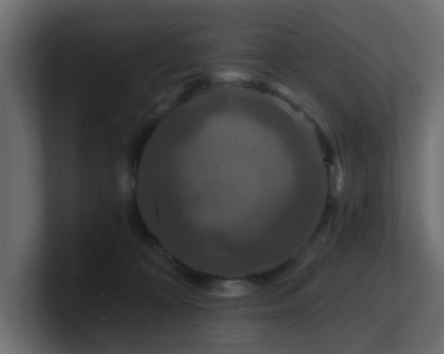 X0000101090324200806261457