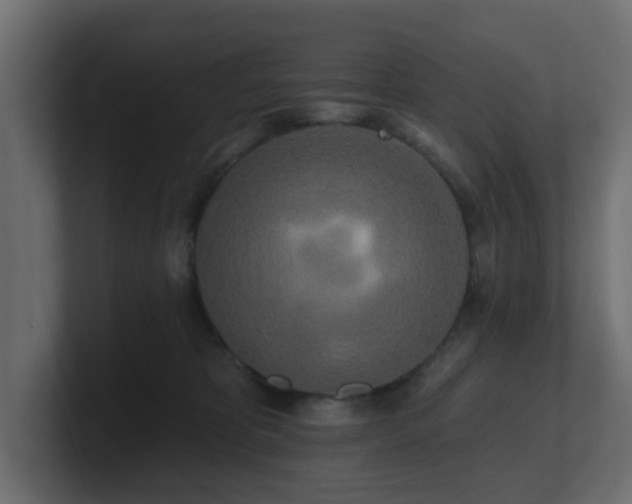 X0000101090325200806261457