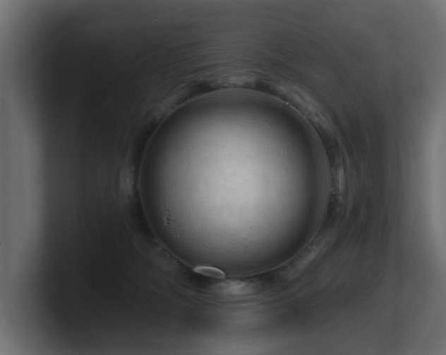 X0000101090326200806261457